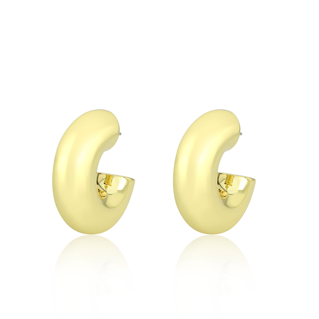 3W1751G - Flash Gold Brass Earring with NoStone in No Stone-0