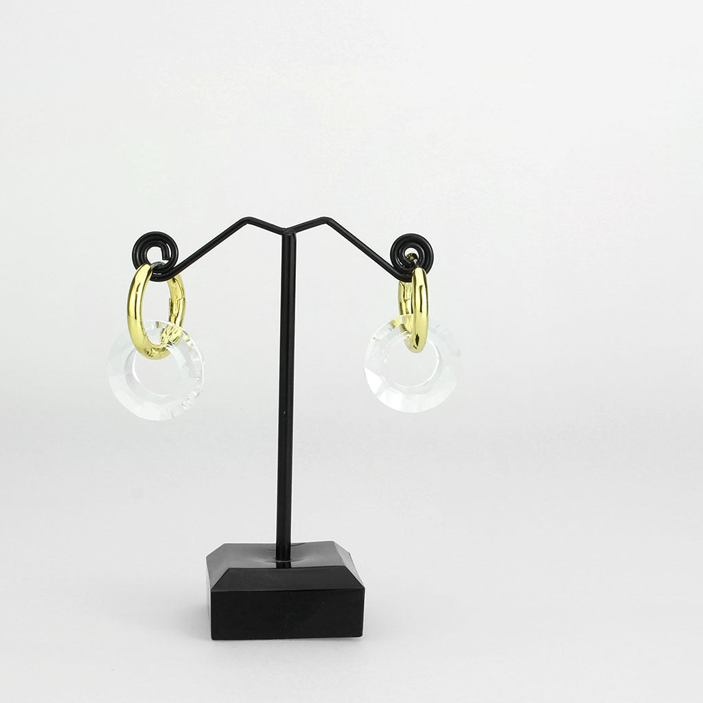 3W1754G - Flash Gold Brass Earring with Synthetic in Clear-2
