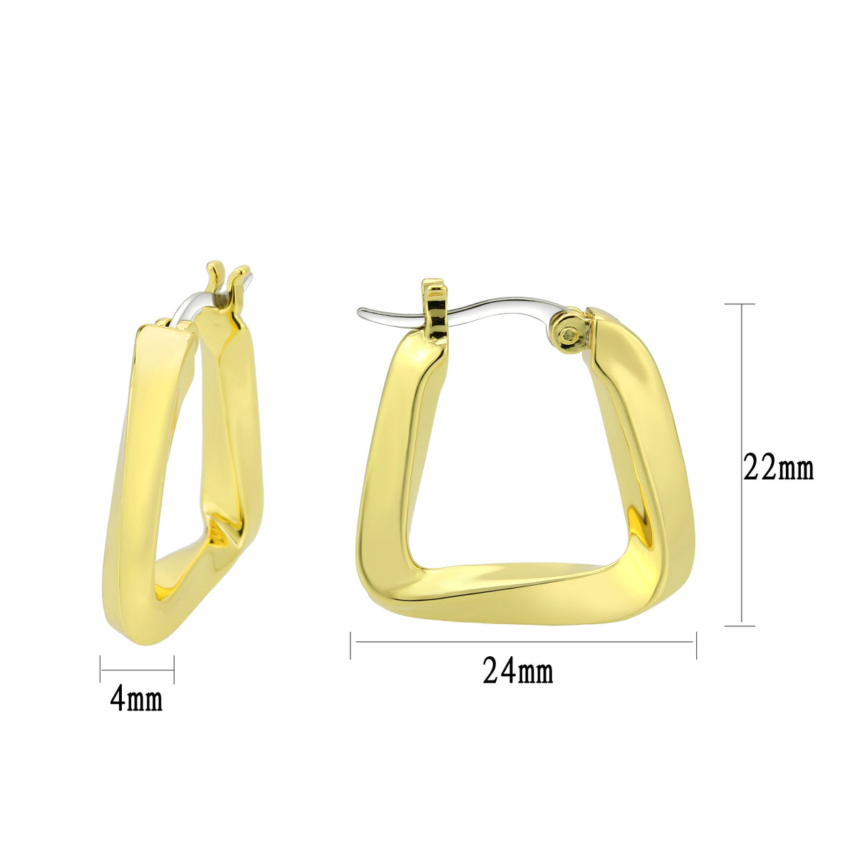 3W1759G - Flash Gold Brass Earring with NoStone in No Stone-0