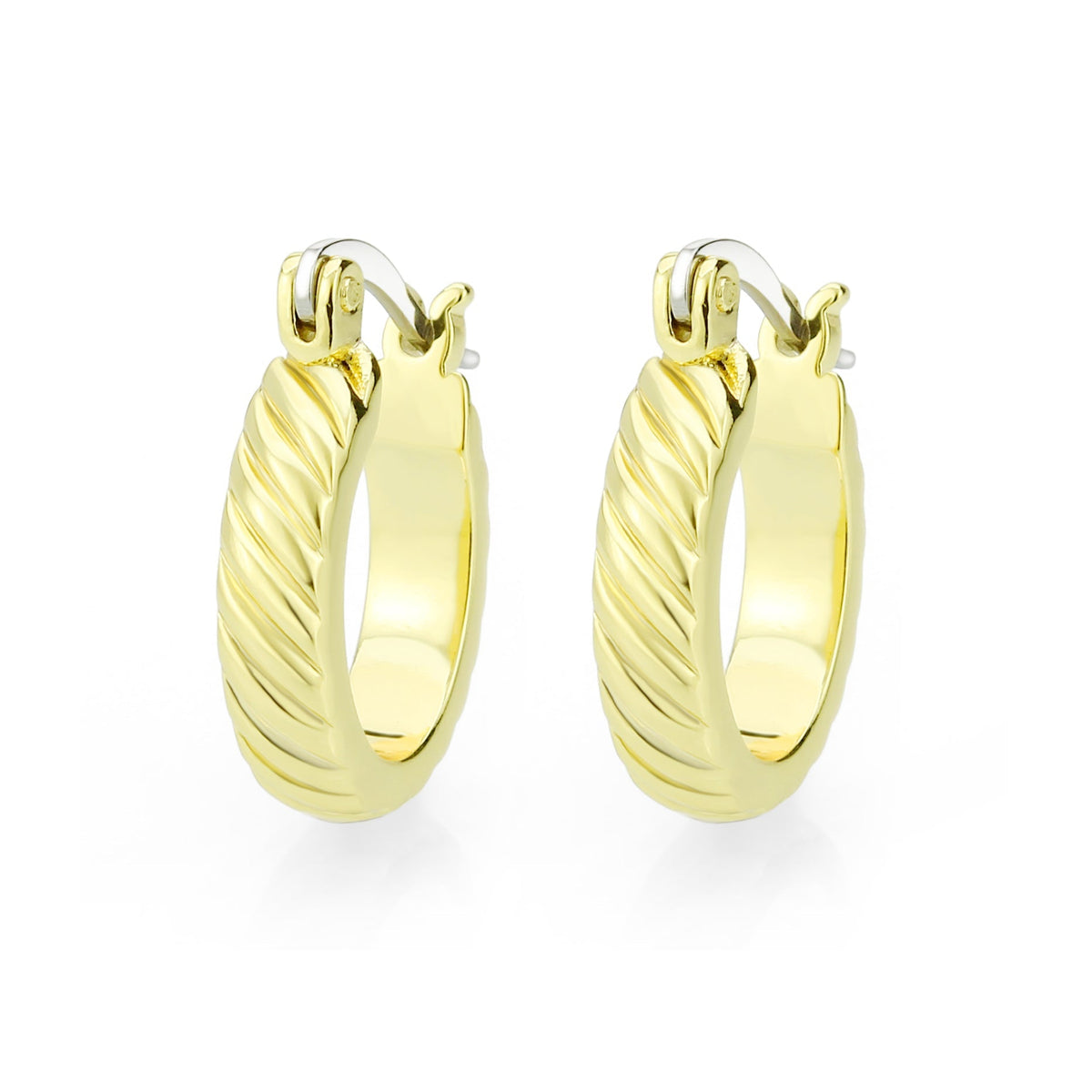 3W1745G - Flash Gold Brass Earring with NoStone in No Stone-0