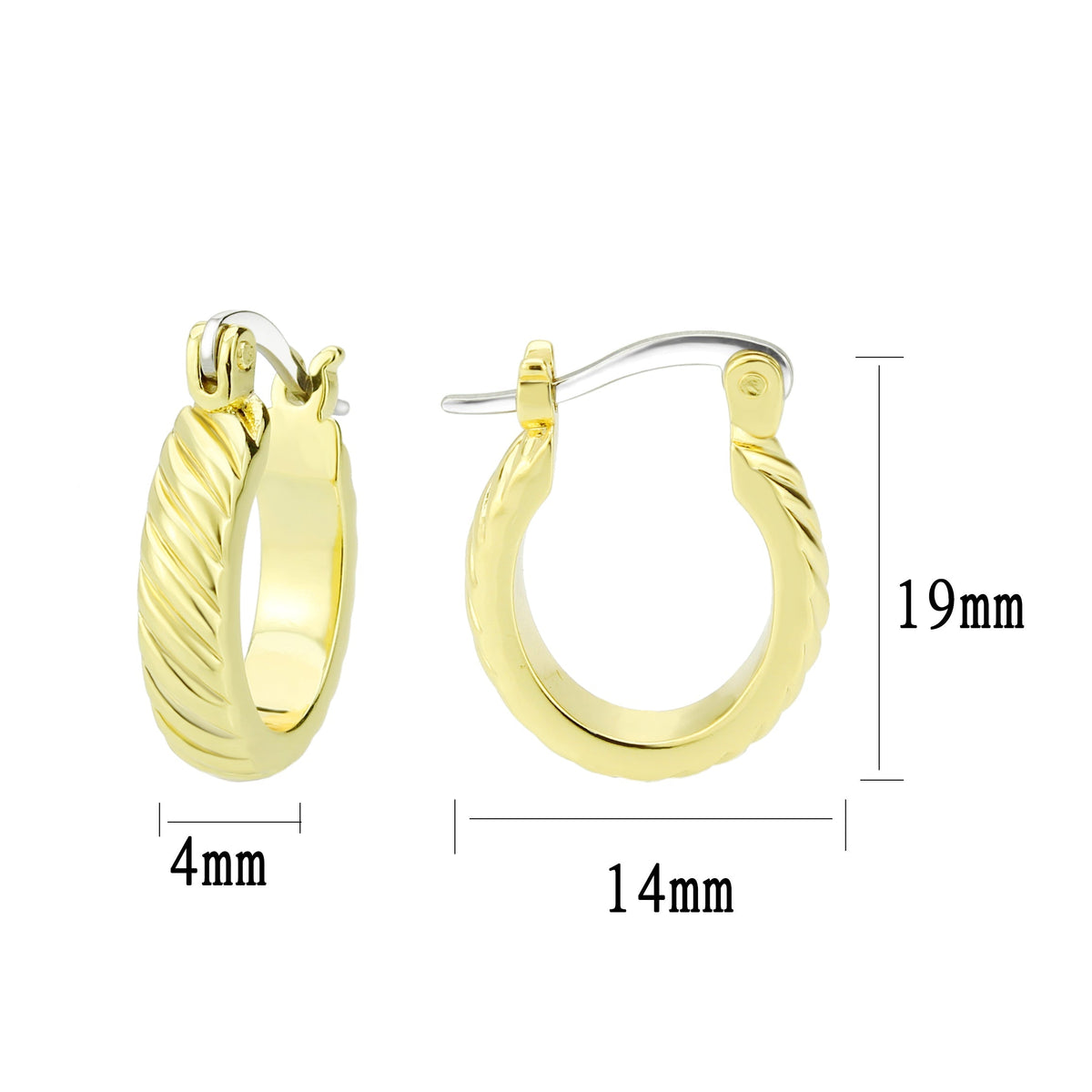 3W1745G - Flash Gold Brass Earring with NoStone in No Stone-1