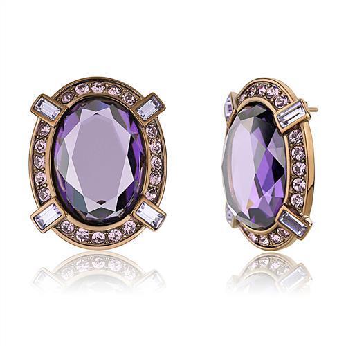 TK2571 - IP Coffee light Stainless Steel Earrings with AAA Grade CZ  in Amethyst-0