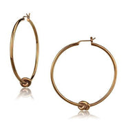 TK2853 - IP Coffee light Stainless Steel Earrings with No Stone-0